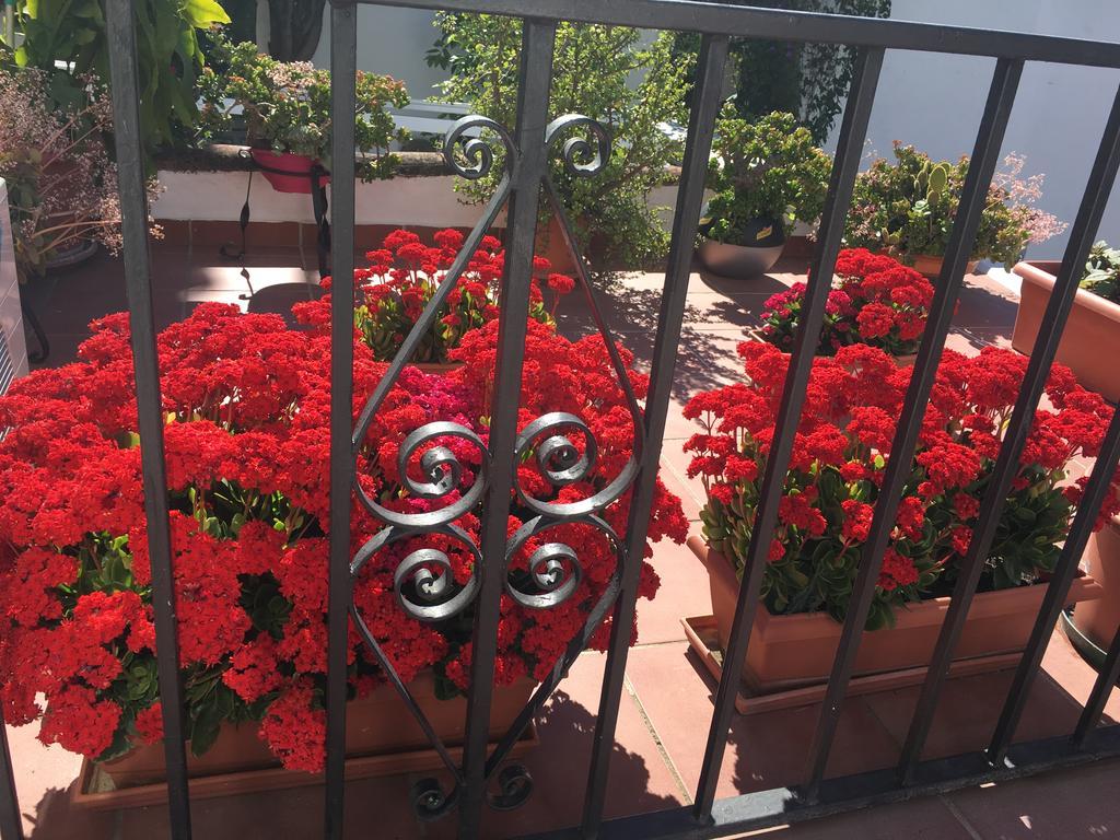 Pensión Aduar Marbella Exterior foto